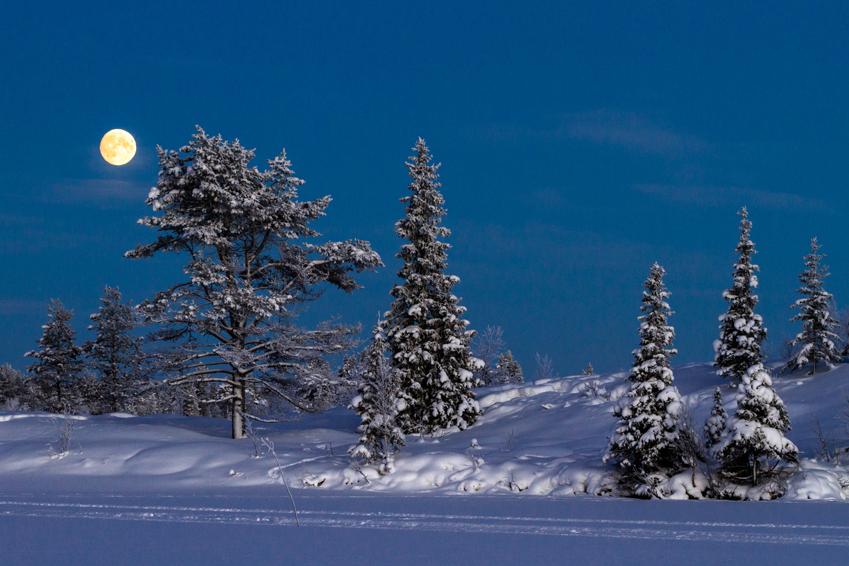 A near full moon rises above Pulju, Lapland, glowing orange through the clear frozen air.